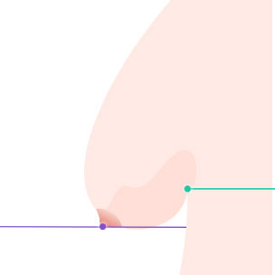콘텐츠 이미지