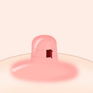 콘텐츠 이미지