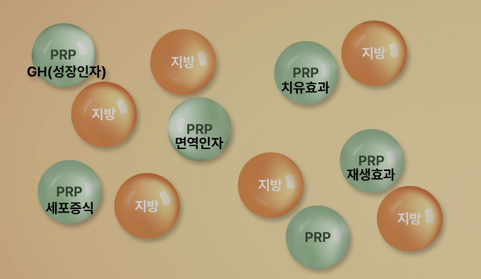 콘텐츠 이미지
