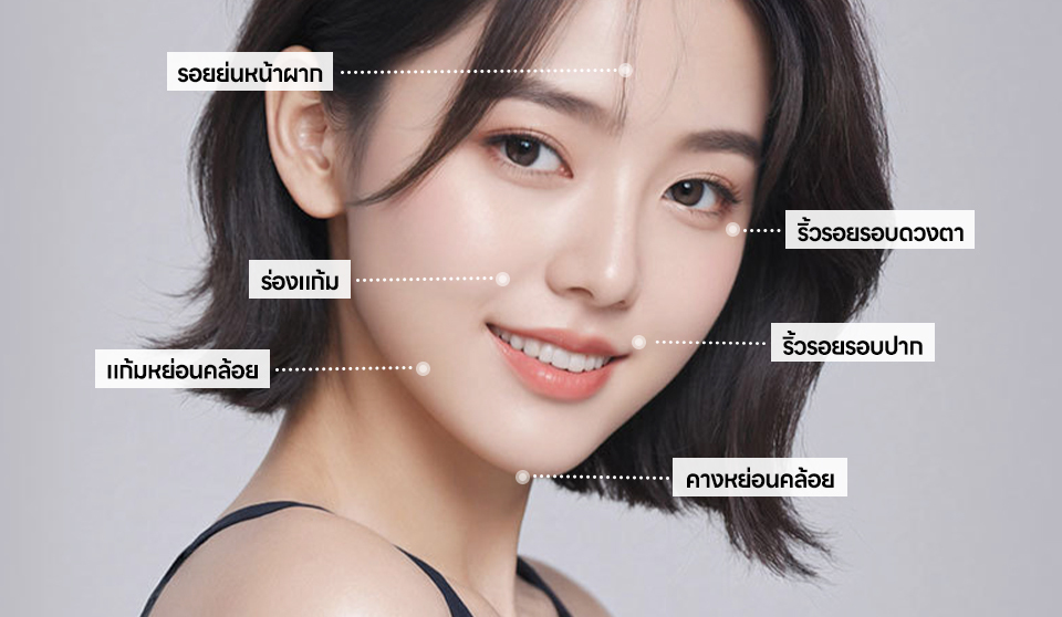 콘텐츠 이미지