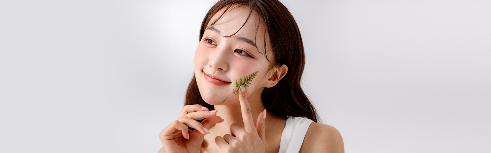 모델이미지