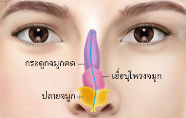 콘텐츠 이미지
