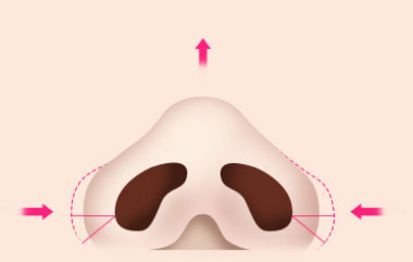 콘텐츠 이미지