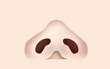 콘텐츠 이미지