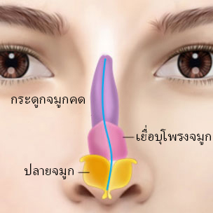 콘텐츠 이미지